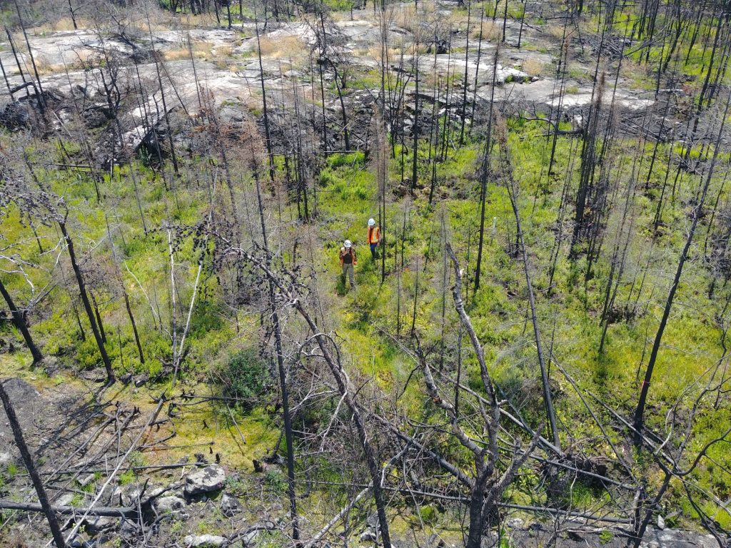 Researchers in the McMaster Ecohydrology Lab conduct field research in a peatland several years after the Parry Sound 33 wildfire.