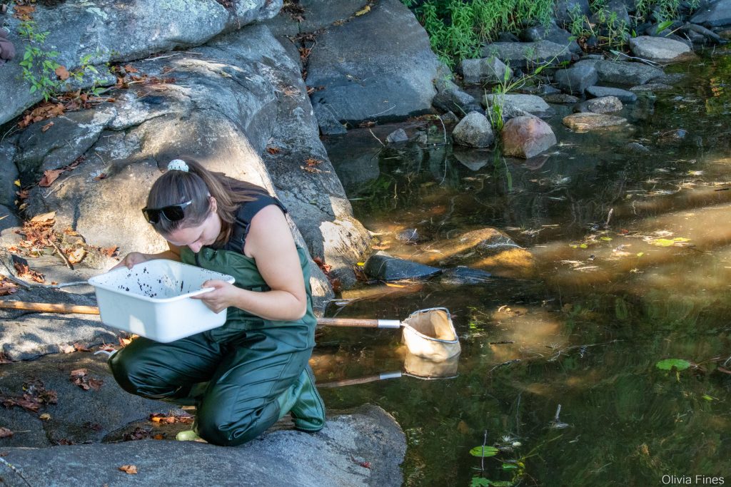 GBB works with townships in the region to monitor benthic macroinvertebrate communities in area lakes over time.