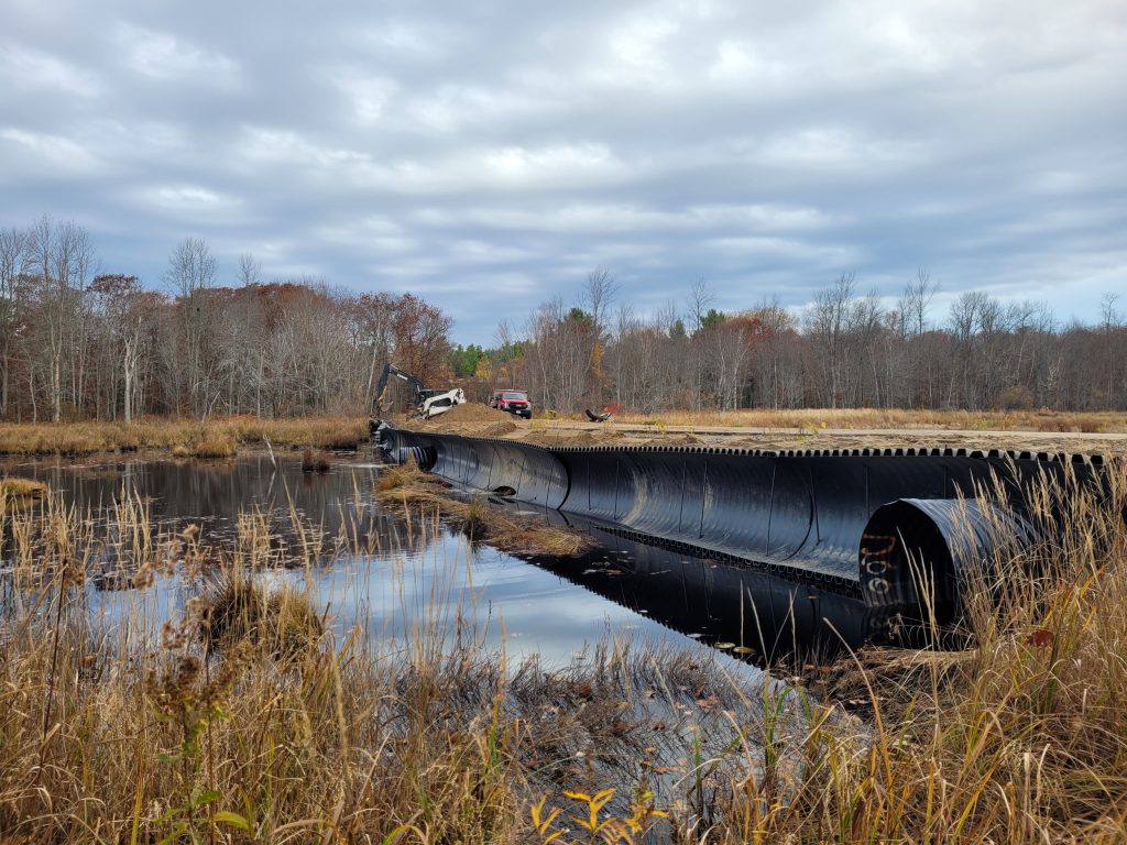 This culvert-fence on a Carling Township road that crosses through a provincially significant wetland is a new design being tested for how well it protects reptiles, including the eastern foxsnake—a notorious climber!