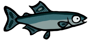 A graphic of a Trout.